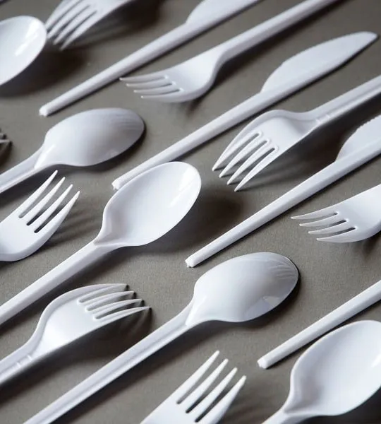 Disposable Tableware