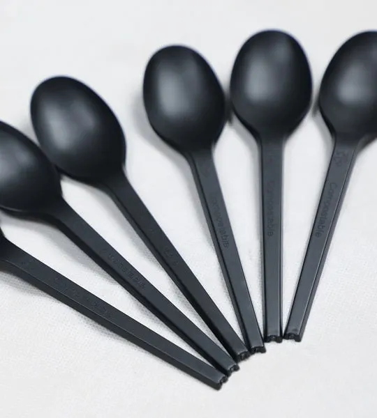Disposable Tableware